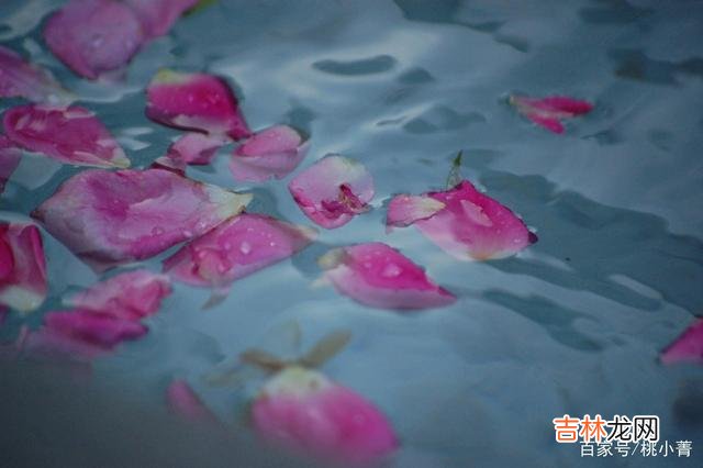 这世间所有的一切 人来人去，随缘就好，你要相信，是你的，谁也抢不走