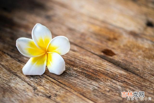 这世间所有的一切 人来人去，随缘就好，你要相信，是你的，谁也抢不走