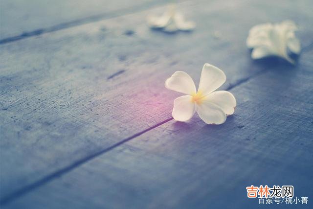 这世间所有的一切 人来人去，随缘就好，你要相信，是你的，谁也抢不走