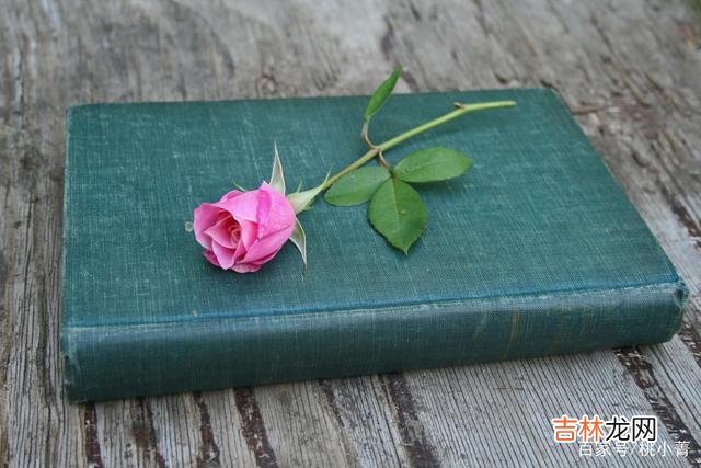 恋爱中的人 你要知道，女人这样称呼你，并不是看上你了，别误解