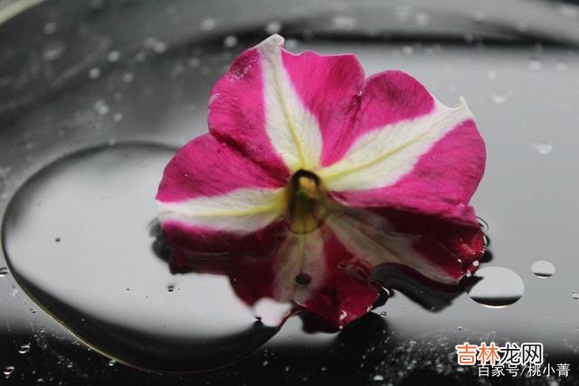 爱情是什么？有人说爱情是一道光 得不到，爱不了，那就到此为止吧，把爱留在心间