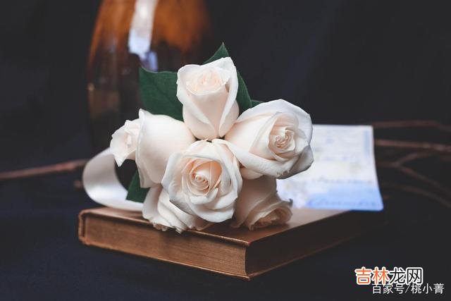 爱情是什么？有人说爱情是一道光 得不到，爱不了，那就到此为止吧，把爱留在心间