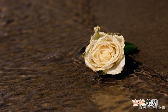 爱情是什么?有人说爱情是一道光 得不到,爱不了,那就到此为止吧,把爱留在心间