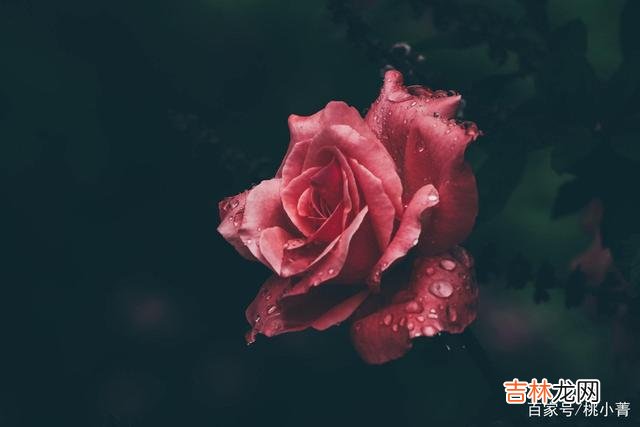 人与人之间的相遇 缘分有深有浅，爱不到，就算了，不要再沉浸其中，不要再自寻烦恼