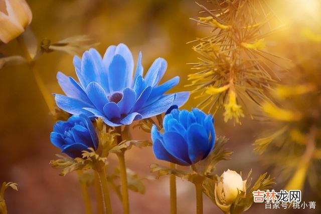 人生就是一道数学题 后半生，多做做减法，在减法中看清生命的奥秘