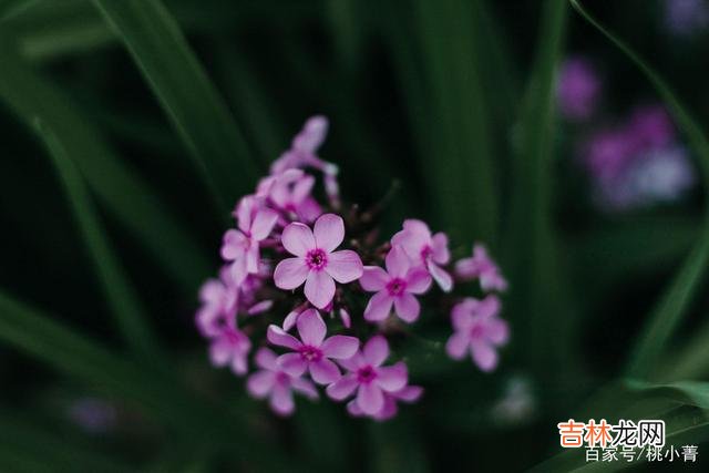 人生就是一道数学题 后半生，多做做减法，在减法中看清生命的奥秘