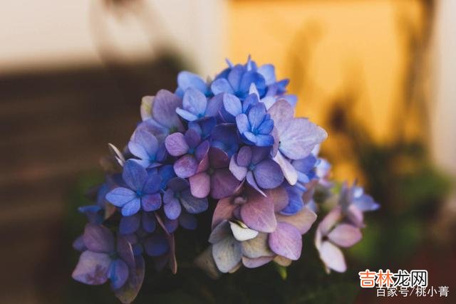 人生就是一道数学题 后半生，多做做减法，在减法中看清生命的奥秘