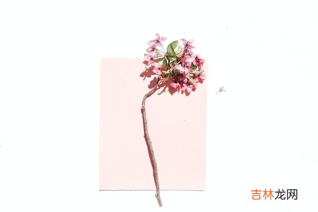 两个人在一起 请相信，懂你的人，还在前方的路上等待着你