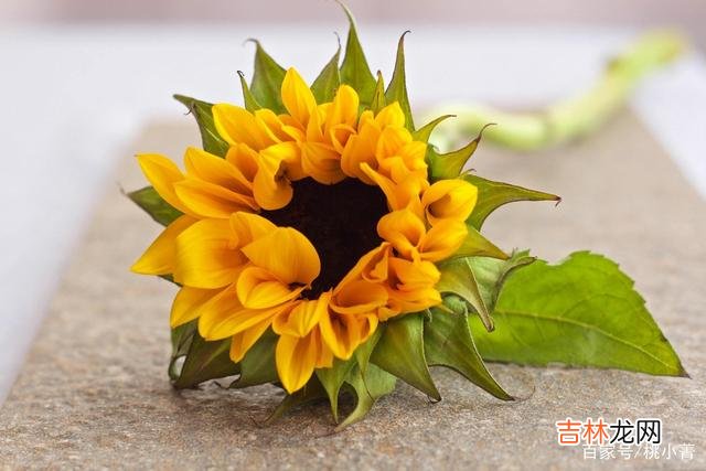 每个人奋斗一生 一时的落魄根本代表不了什么，你无需介怀，更不必焦虑