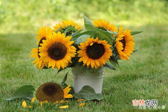 每个人奋斗一生 一时的落魄根本代表不了什么，你无需介怀，更不必焦虑