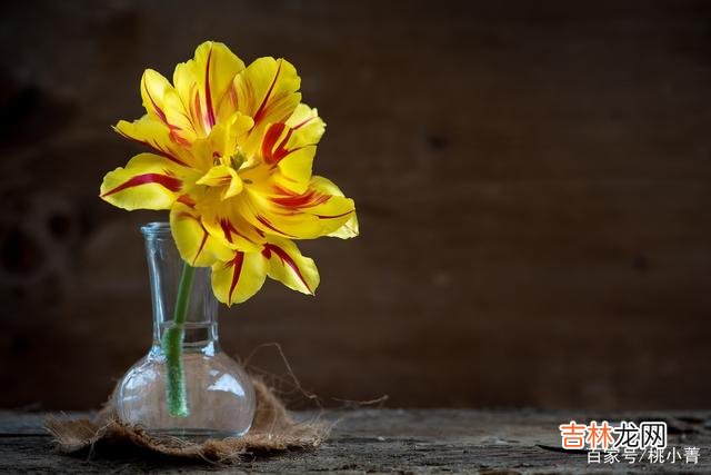 有人说 那些只谈钱，不谈爱的女人，注定一无所获