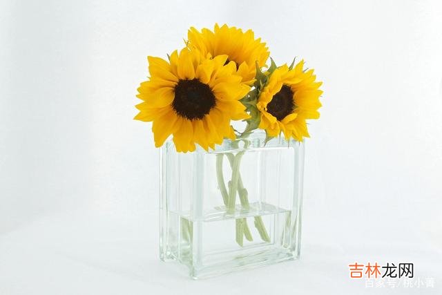 有人说 那些只谈钱，不谈爱的女人，注定一无所获