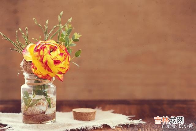 有人说 那些只谈钱，不谈爱的女人，注定一无所获