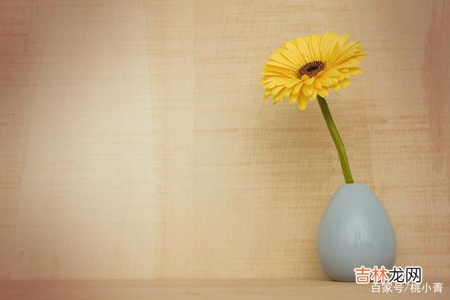 有人说 那些只谈钱，不谈爱的女人，注定一无所获