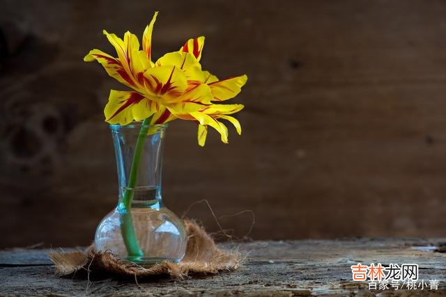 有人说 那些只谈钱，不谈爱的女人，注定一无所获