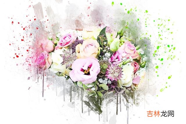 在《凉生我们可不可以不忧伤》这本书里 感情里，任何一个小细节，都是爱意的传达，称呼自然也不例外