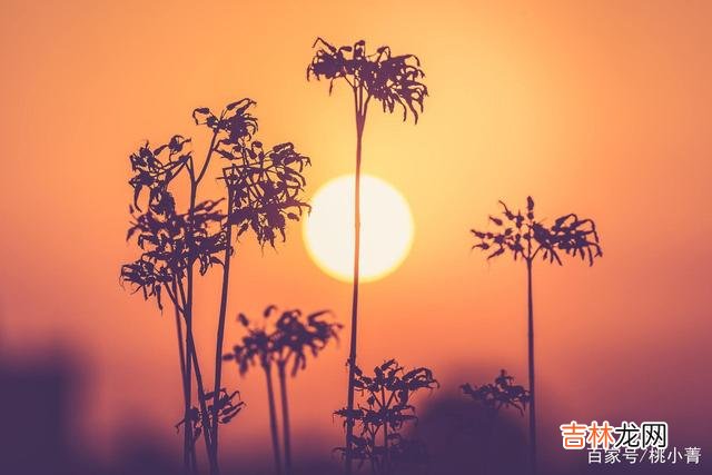 当清晨的第一缕阳光洒向大地时 唯有放下，才能重获新生，唯有放下，才能自在随性