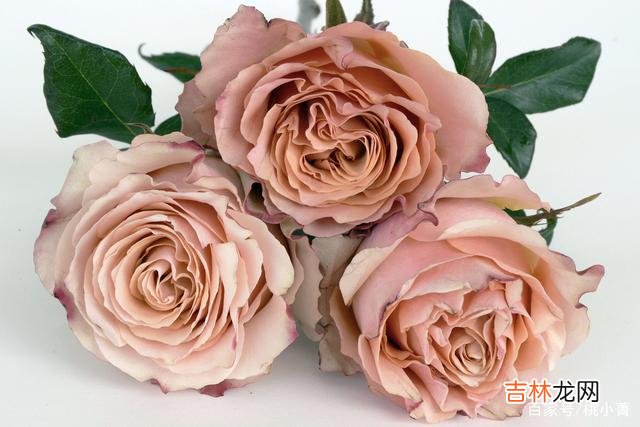 给缘分一些时间，属于你的，必将到来