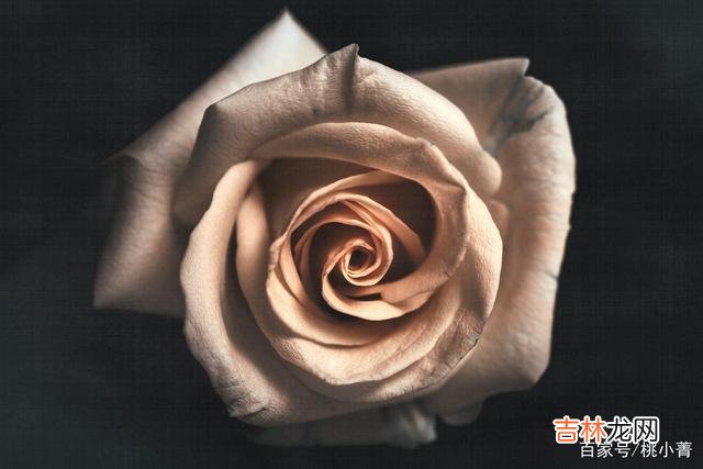 究其一生 惊喜都是需要等待的，多等一等，懂你的人，终会到来