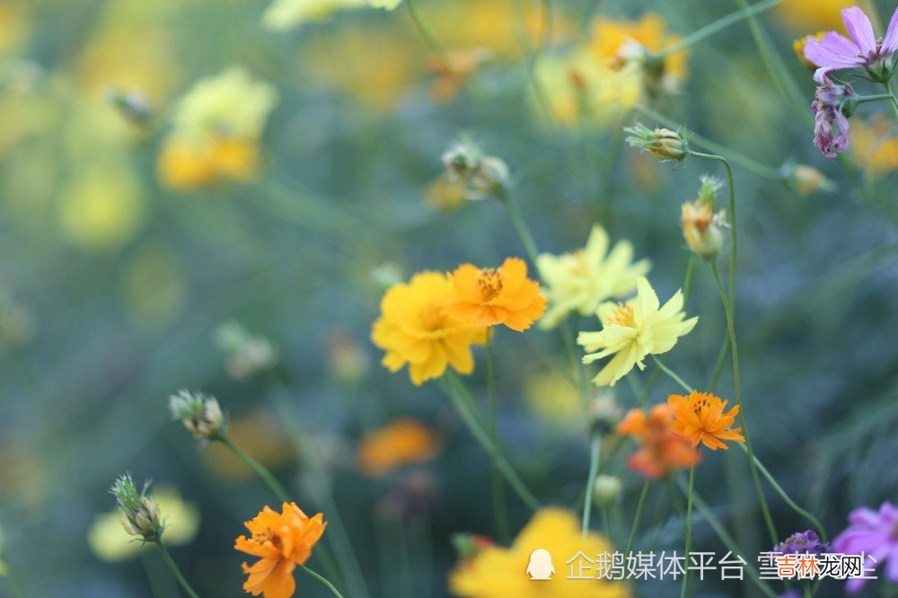 四个技巧，提高你在男人心中的位置，让他非你不可