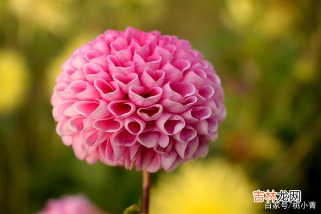 正如歌中所唱:“爱就像蓝天白云晴空万里 没那么在意你的人,就只是人生中的一个过客罢了,别太上心