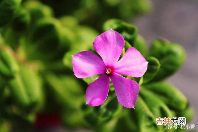 正如歌中所唱:“爱就像蓝天白云晴空万里 没那么在意你的人,就只是人生中的一个过客罢了,别太上心