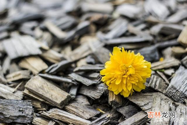 人这一辈子 后半生，做自己，爱自己，才是对自己最好的交代