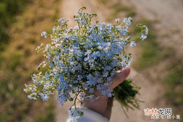最好的感情 双方保持一定的距离，才更有可能延续深情，久处不累