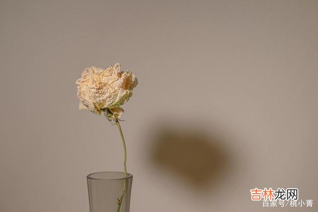 人生路 人在低谷时,少说多做,才更能掌控自己的人生,扭转当下的局势