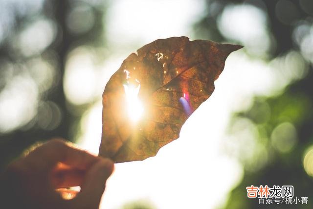 人的大脑就是一个天然的储存器 要走的，你留不住；不属于你的，你就该忘