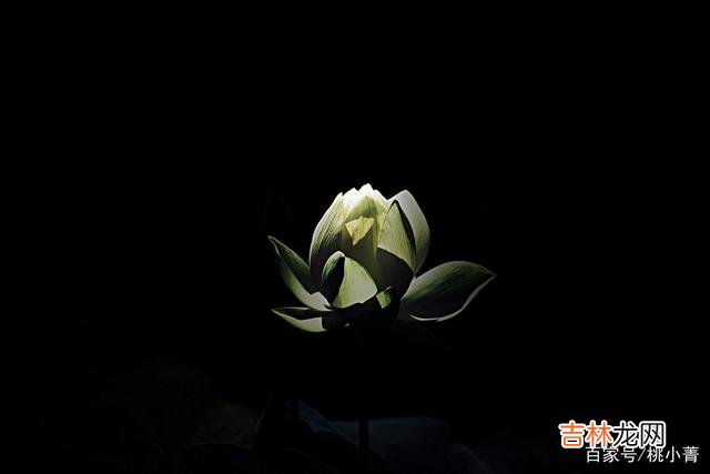 有很多人的感情 感情的世界，用心去爱过就好，别管结局是好是坏