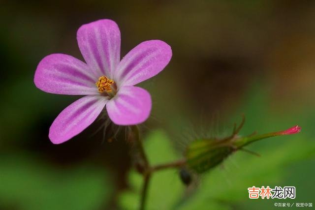 1引言最近 生活得好也罢，差也罢，都是你自己选择的，怨不得任何人
