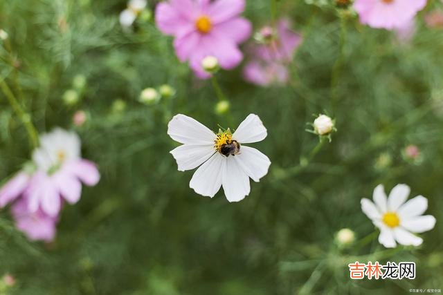 1引言最近 生活得好也罢，差也罢，都是你自己选择的，怨不得任何人