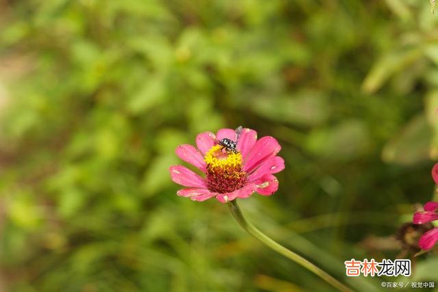 1引言最近 生活得好也罢，差也罢，都是你自己选择的，怨不得任何人