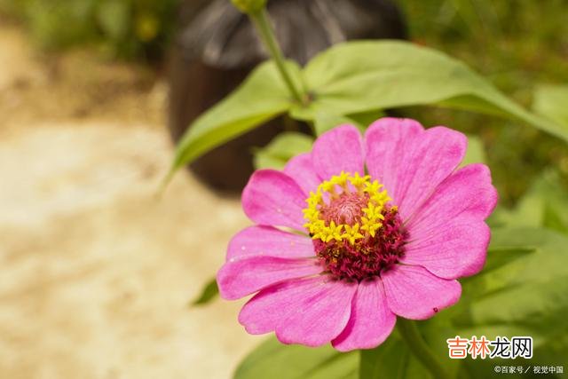 01引言曾以为 别伸手太长，别多管闲事，做你自己就好