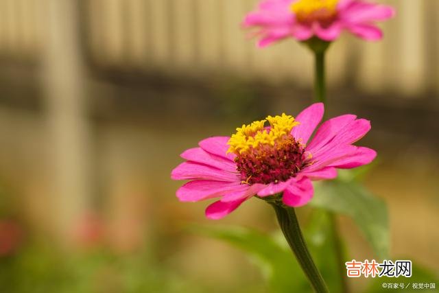 01引言曾以为 别伸手太长，别多管闲事，做你自己就好