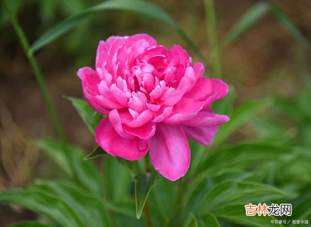 01引言人生在世 给自己一个健康的体魄,才是厚积薄发最好的基础