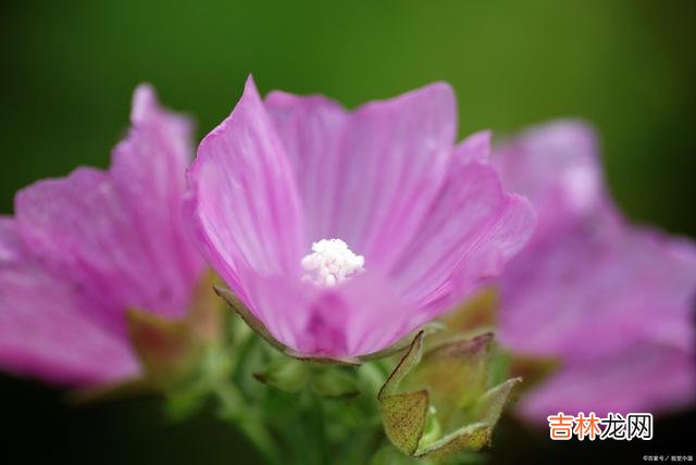 01引言世人皆想做出众的人 做一个，管得住自己嘴巴的人，把自己的努力，调成静音模式