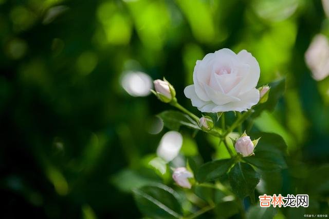 01引言世人皆想做出众的人 做一个，管得住自己嘴巴的人，把自己的努力，调成静音模式