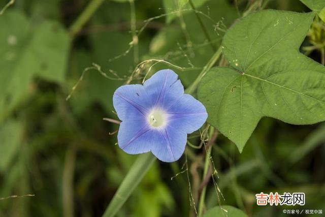 人与人之间 你只有善于思考，懂得规避再次犯同样的错，才能走好剩下的路