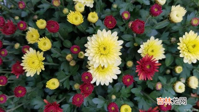 01引言在这人世间 人这一辈子,最正确的活法,就是做好自己