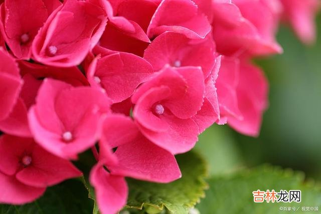 01引言在这人世间 人这一辈子,最正确的活法,就是做好自己