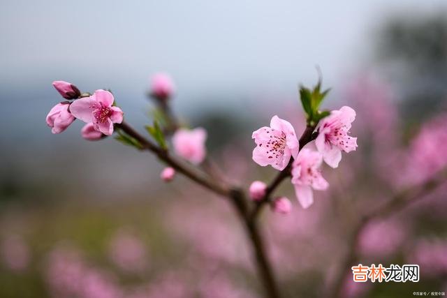 01引言生而为人 真正通透的人是能遵循自己的内心的，而不是活在别人的世界里