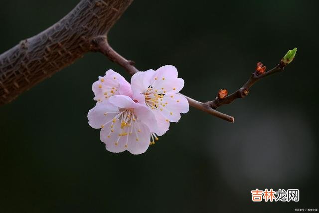 01引言生而为人 真正通透的人是能遵循自己的内心的，而不是活在别人的世界里