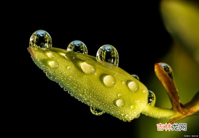 首先 有的时候,过分的热情,往往就会成为别人的负担