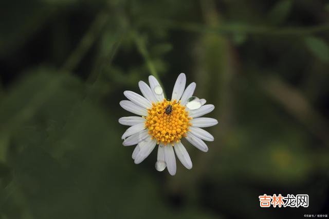 首先 有的时候,过分的热情,往往就会成为别人的负担