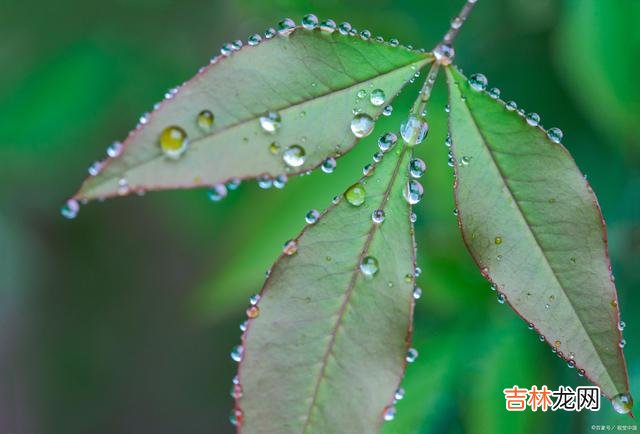 首先 有的时候,过分的热情,往往就会成为别人的负担