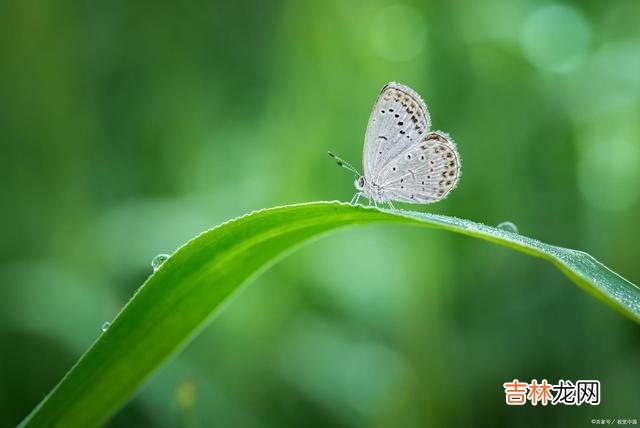 首先 有的时候,过分的热情,往往就会成为别人的负担