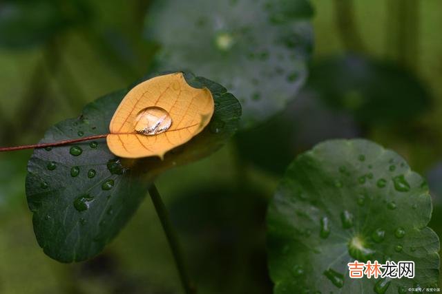 首先 有的时候,过分的热情,往往就会成为别人的负担