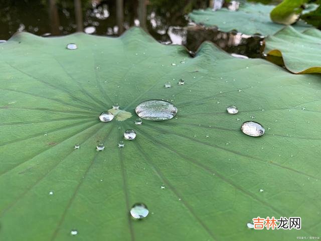 首先 有的时候,过分的热情,往往就会成为别人的负担